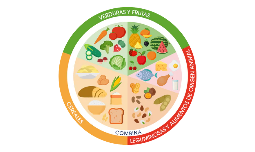 Alimentación complementaria