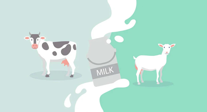 ¿Leche de cabra o de vaca?