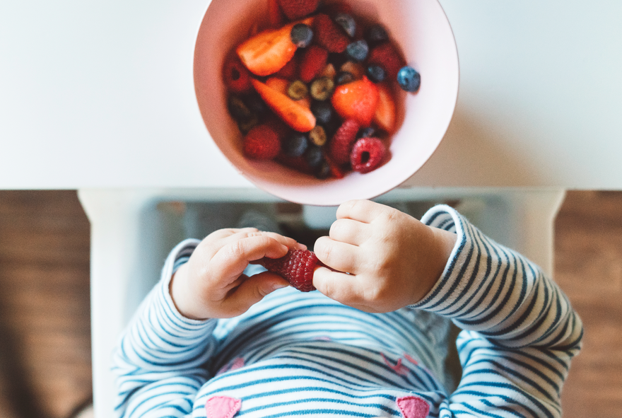 La Alimentación Saludable Comienza en Casa