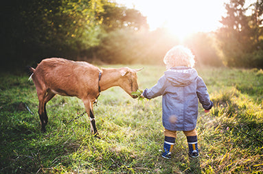 ¿Sabías que es la leche A2?