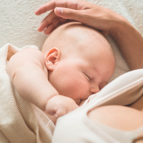 Alimentación durante la Lactancia: Clave para Tu Salud y la de Tu Bebé