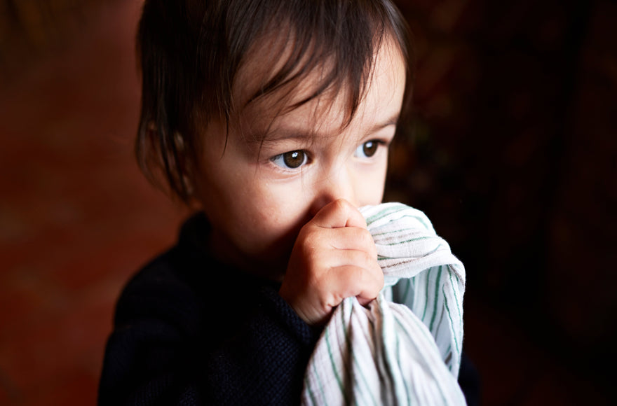 Alergias Alimentarias en Tu Bebé: Signos de Alerta y Alternativas