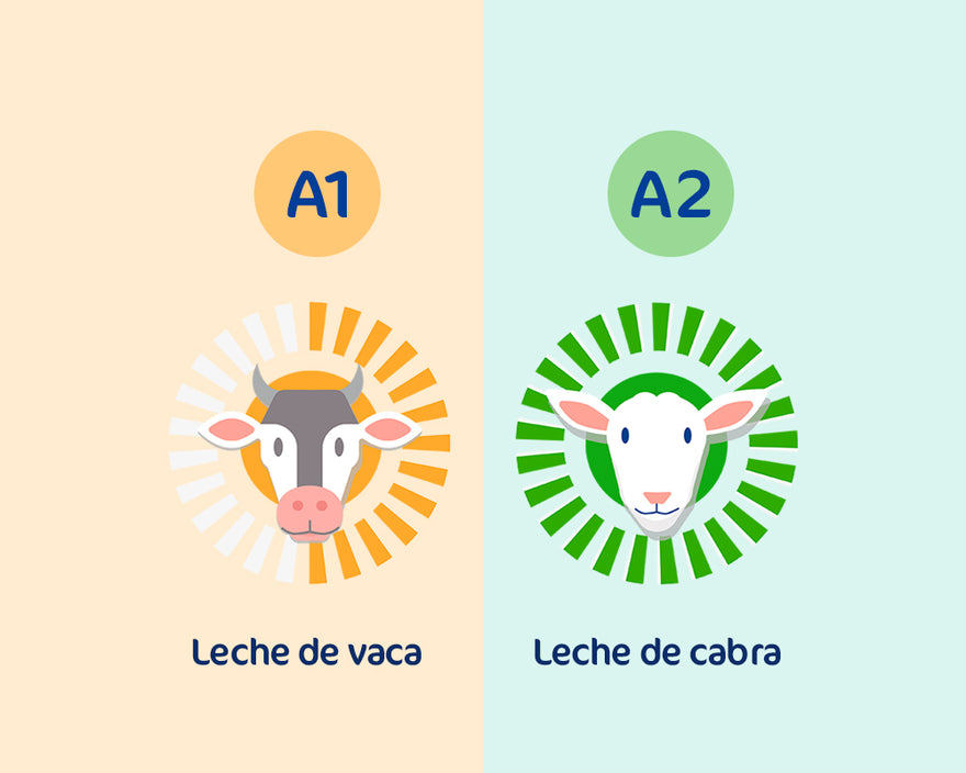 Diferencias entre la Leche de Cabra A2 y la Leche de Vaca A1