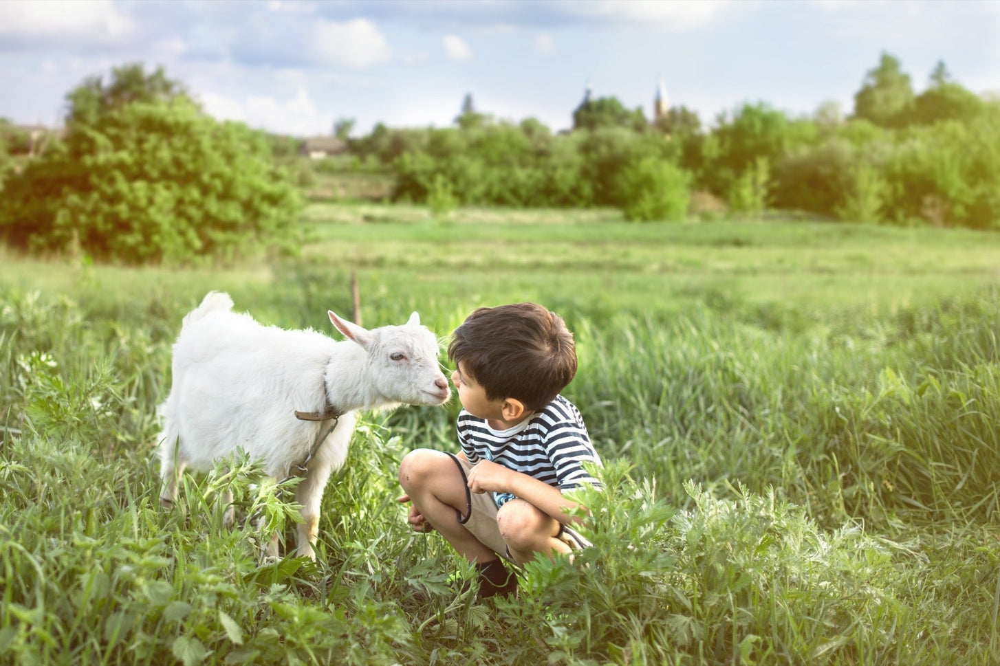 Todo lo que un padre debe saber sobre la leche de cabra para bebés