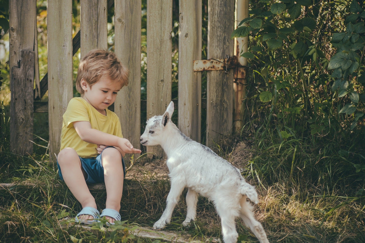 Leche de crecimiento: ¿tu hijo de 1 a 3 años realmente la necesita?