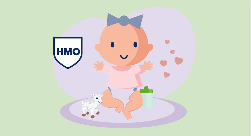 ¿Qué son los HMOs?
