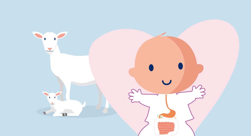 Kabrita: La leche de cabra que cuida lo que más amas